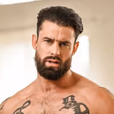 Alpha Wolfe