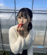 清巳れの