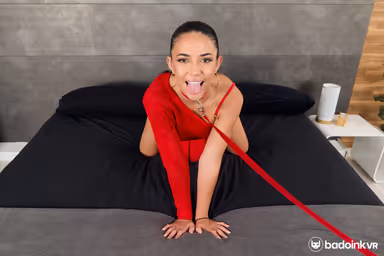 Freak on a Leash gallery
