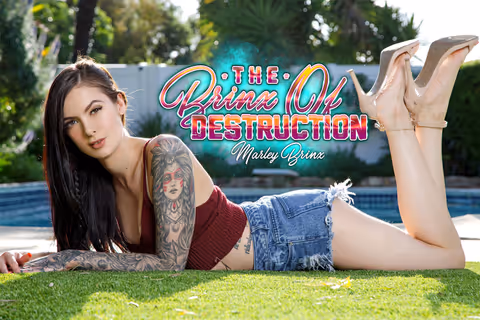 The Brinx Of Destruction - Cheating Girlfriend [Leaving Soon]