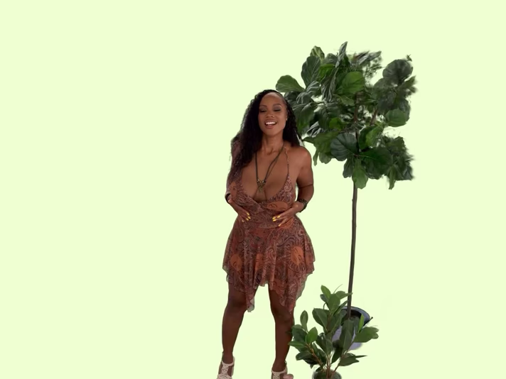 The Greenhouse Effect