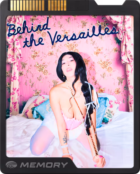 Behind the Versailles