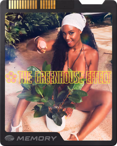 The Greenhouse Effect