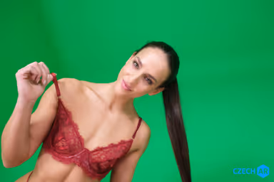 CAR 036 - A Perfect View of See-Through Lingerie gallery