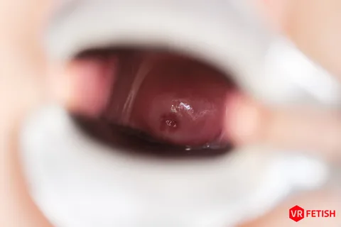 CVF 503 - As Wide as it Gets gallery