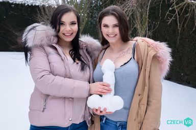 CVR 416 - Horny from Snowcock gallery