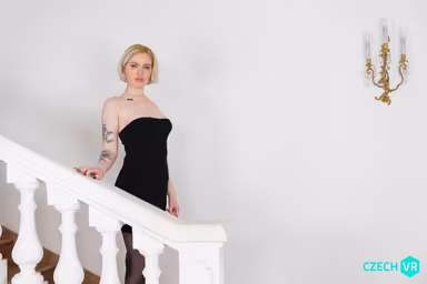 CVR 611 - Shag Before the Party gallery