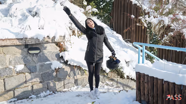 The Snow Cougar of Livigno gallery