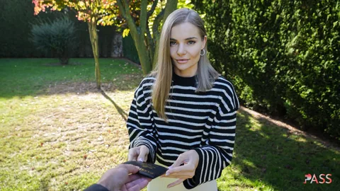 Wild Zebra from Oděsa gallery