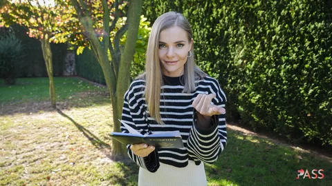 Wild Zebra from Oděsa gallery