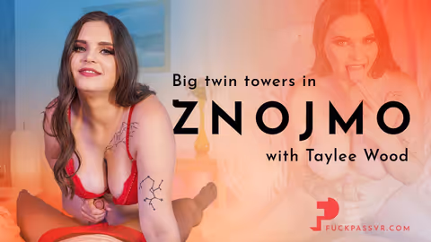 Big Twin Towers in Znojmo