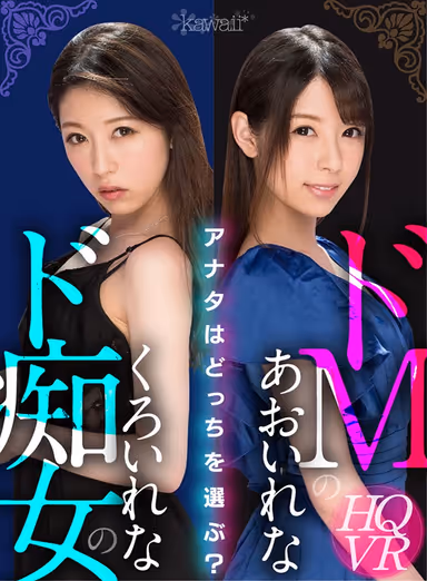 VR: Masochist Rena Aoi and Slut Rena Kuroi : Which Do You Choose? gallery