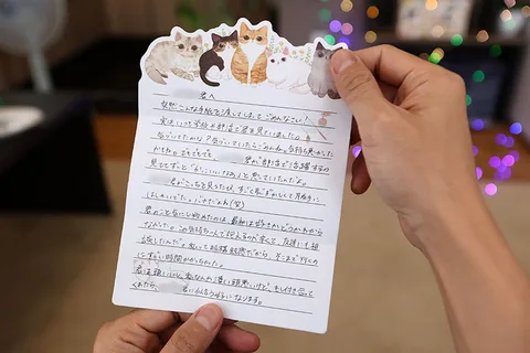 Ceiling Specialized Angle VR - Sex With An Old Friend I Hadn't Seen In 3 Years - Amu Hanamiya gallery