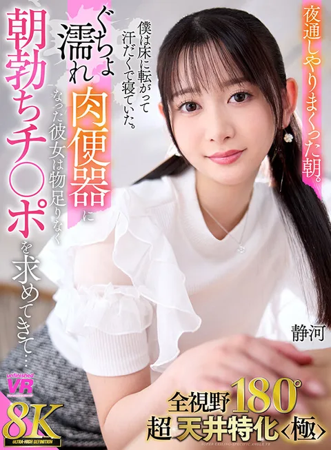 All view 180° super, ceiling-specific <Pole> The morning after a long night of doing it all. I was lying on the floor sweating. She was a soaking wet toilet, but she wasn't satisfied and asked me for my morning dick... Shizukawa gallery