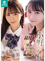 MOODYZ ツンデレ幼馴染と全裸までしっかり楽しめる基本に忠実王道VR！/学生時代から付き合ってきた彼女と、最後の中出しセックス 小野六花