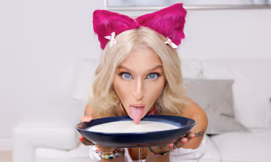 Sugar Baby: Drooling Kitty gallery