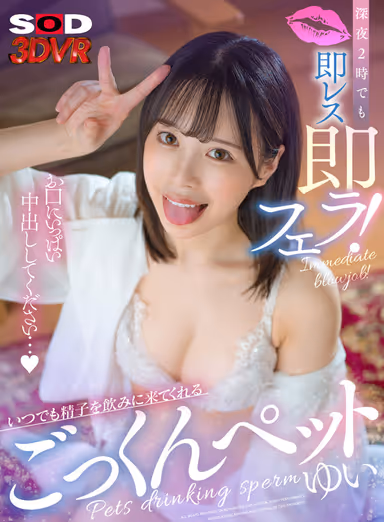 VR] Even at 2 a.m., I'm Ready for an Instant Blowjob! Yui Yui, the Gokkun Pet Who Comes to Drink Sperm Anytime! gallery