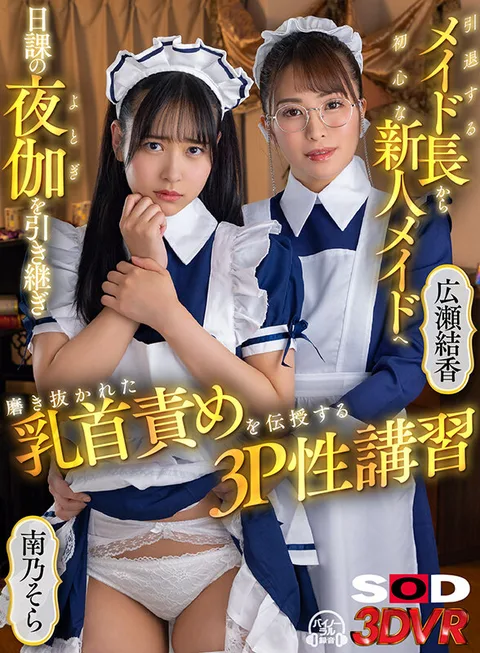 VR】This threesome sex class teaches a retiring head maid to a novice maid, who takes over the daily night training and teaches her well-honed nipple torture. gallery