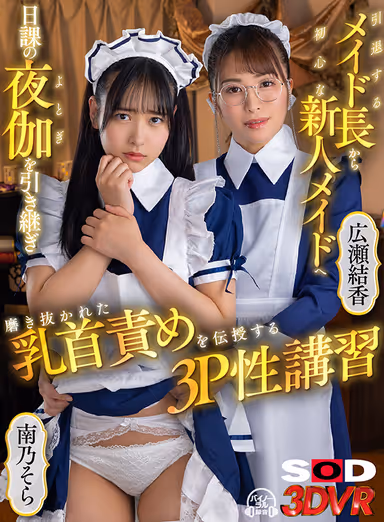 VR】This threesome sex class teaches a retiring head maid to a novice maid, who takes over the daily night training and teaches her well-honed nipple torture. gallery
