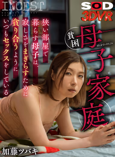VR] Poor Mother and Child Family - Mother and Child Living in a Small Room Have Sex All the Time to Drown Their Loneliness Kato Tsubaki gallery