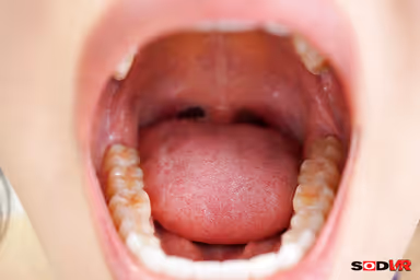 VR] Spring Health Examination - 11 New Employees in 2024 - 4 Hour Special #Oral Examination #Chest Examination #Transvaginal Examination #Anal Examination gallery