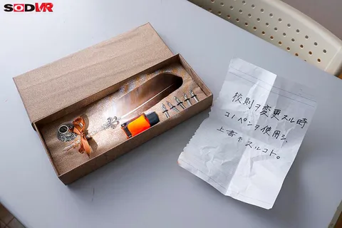 School Rule Reform VR Article 15.3 Skirts must always be of a length that shows the underwear. gallery