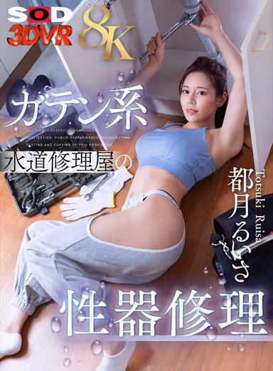 [VR] [8K] Repairing Genitalia of a Gatenkai Plumbing Repairman - Risa Tsuzuki gallery