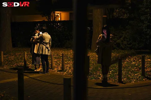 Drugging and filming a wife who is standing in a park in Tokyo and giving her a kimekseku (sexual intercourse) shot. gallery