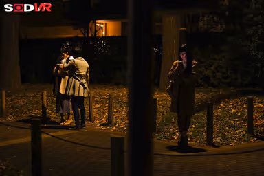 [VR] [8K] Drugging and filming a wife who is standing in a park in Tokyo and giving her a kimekseku (sexual intercourse) shot. gallery