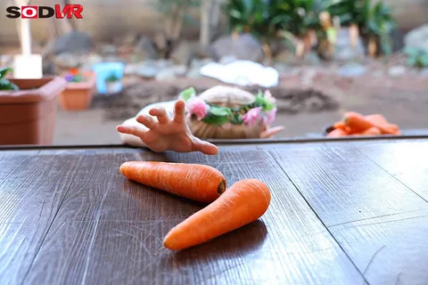 Young Elf VR *Please note the graphic nature. gallery