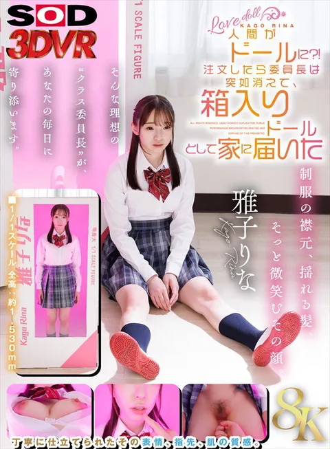 A Human Being Becomes a Doll? After ordering, the chairperson of the committee suddenly disappeared and arrived at my house as a doll in a box Rina Masako gallery