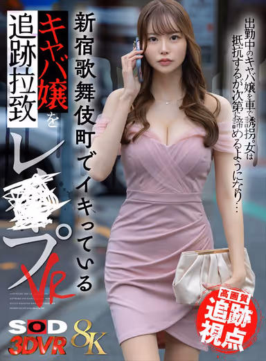[VR] [8K] [High-Quality Tracking Camera] VR: Tracking, Abducting, and R**ing a Cabaret Girl Living It Up in Shinjuku Kabukicho gallery
