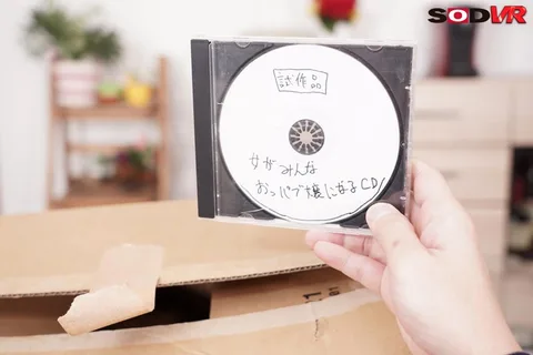 (VR) I Found A CD That Will Make All Women Into Prostitutes! gallery