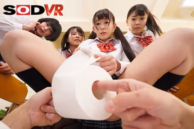 [VR] VR Where You Can Be A Girl's School Toilet In A World With No Toilets gallery