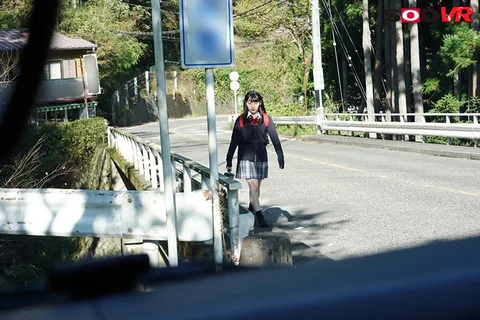 VR - Pursuit Viewpoint - Chasing A S********l And Giving Her A Rough Fucking gallery