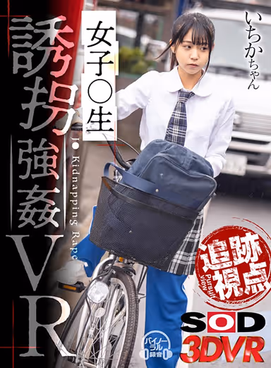 [VR] (Perspectives Of Pursuit) A S********l Minivan Pursuit VR Video Ichika-chan gallery