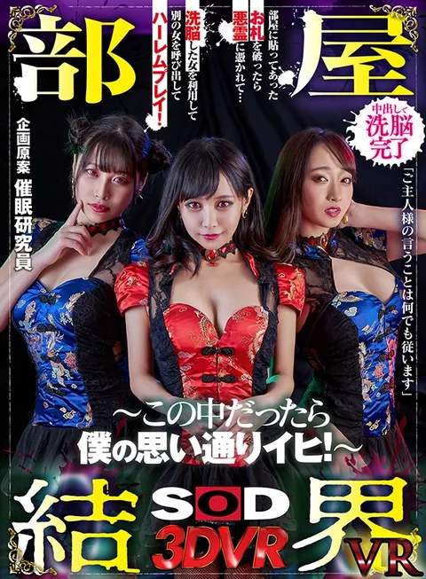 The Barrier In My Room VR - As Long As We're In Here, We Do What I Want! gallery