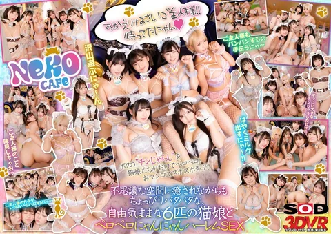 I Went to a Cat Cafe and I Wasn't Expecting a Cat Girl! ～The cat girls are licking me and having free and uninhibited kitten harem sex!