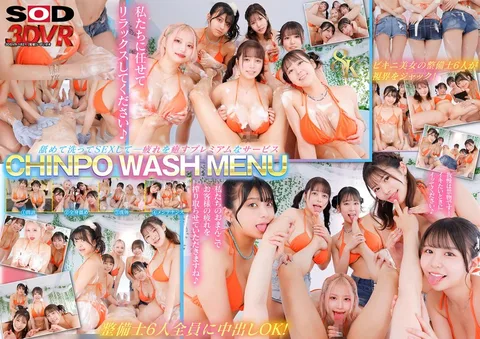 CHINPO WASH VR - Full Body Lewd Inspection by 6 Bikini Mechanics - Full Body Licking! They wash you! Ultimate Harem!