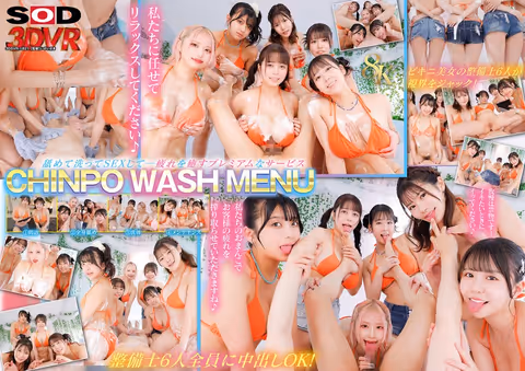 [VR] [8K] CHINPO WASH VR - Full Body Lewd Inspection by 6 Bikini Mechanics - Full Body Licking! They wash you! Ultimate Harem!