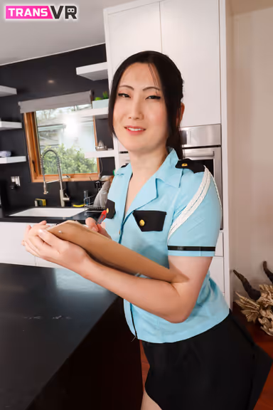 The (In)Decency Inspector! gallery