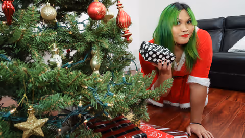 I Fucked Mrs Claus!