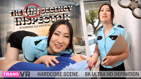 The (In)Decency Inspector!
