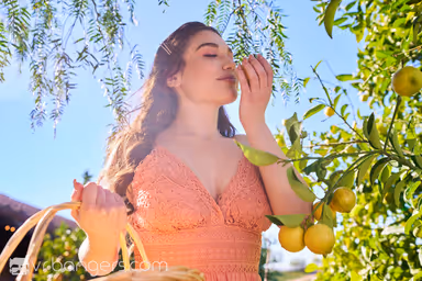 My Fruity Valentine gallery