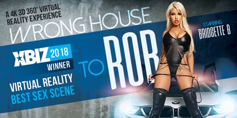 The Wrong House to Rob