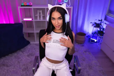 Erotic Gaming Session gallery