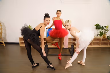 Classical Trio gallery