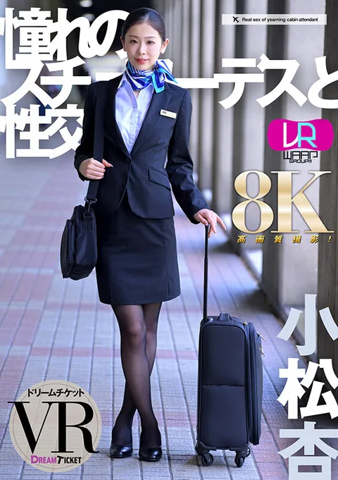Sexual Intercourse with the Stewardess of Your Dreams - Anne Komatsu gallery