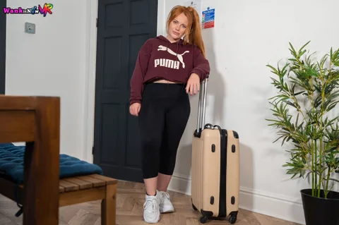 Wank Arrangement gallery