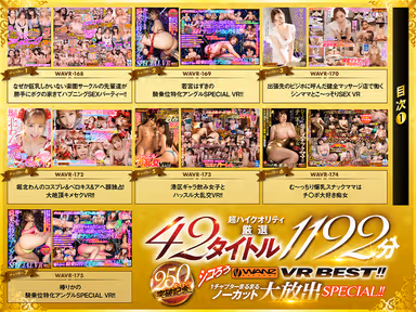 VR] Celebrating over 250 titles! WANZ VR BEST! One whole chapter uncut SPECIAL! gallery